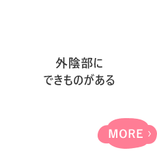 もの 陰部 に でき