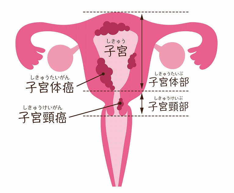 身体を守る